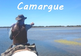 Horse riding Camargue