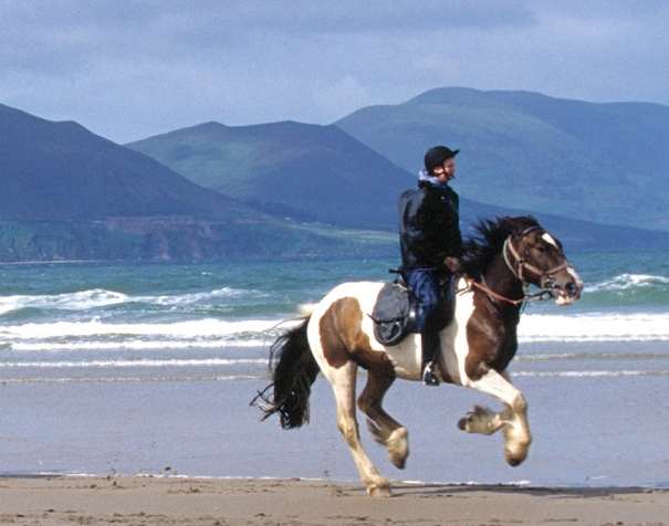 week horse riding in Ireland