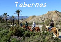 visit Andalusia on horseback