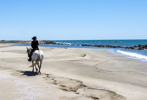 Randonnée cheval en Camargue