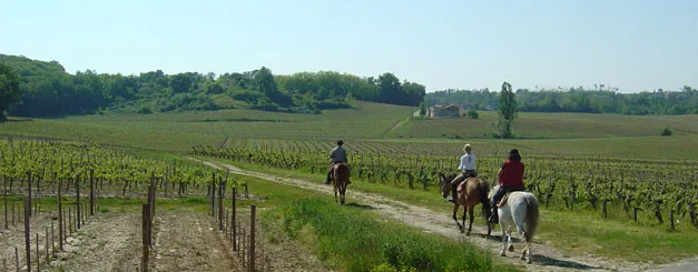 bordeaux wine horseback ride