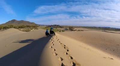 horseback riding trip in mongolia