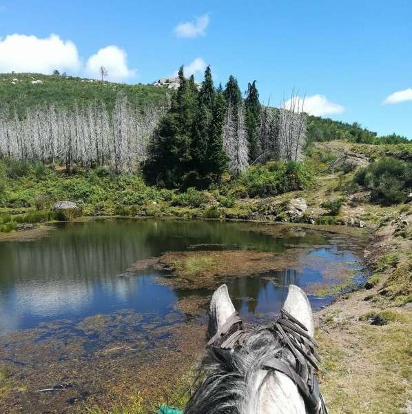 horse riding trail ride in portugal