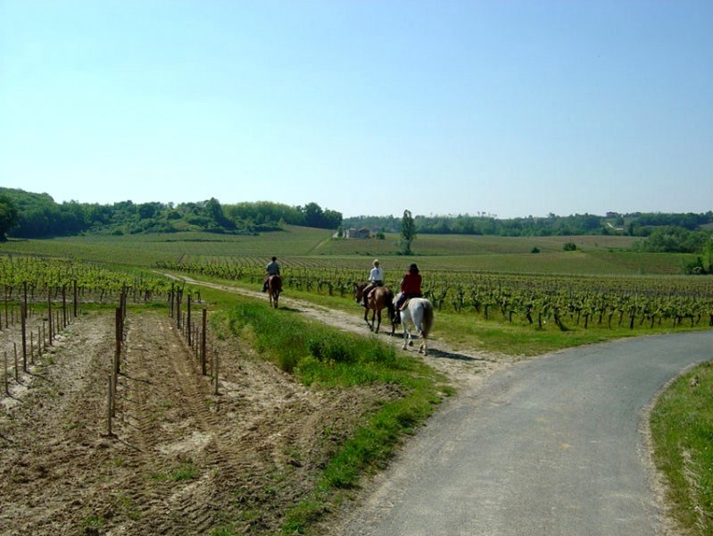 Horse riding trail ride in France