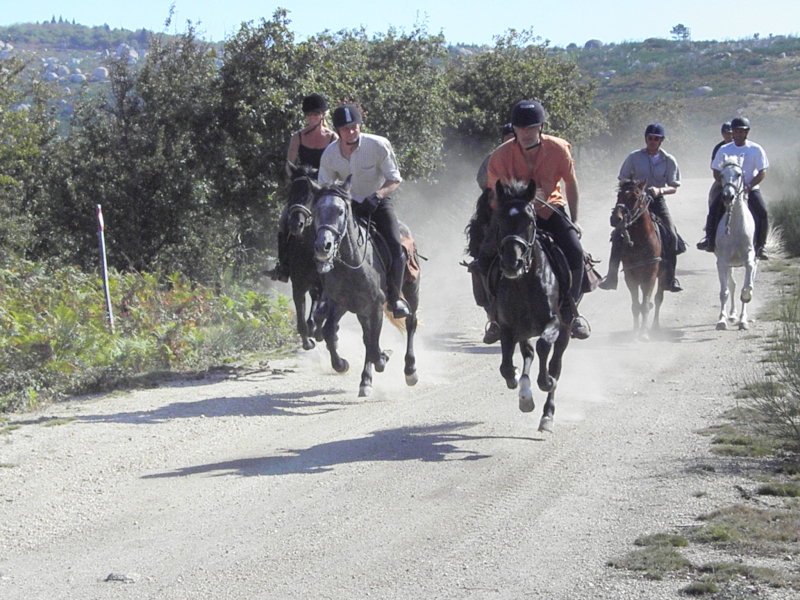 equestrian clinic Portugal