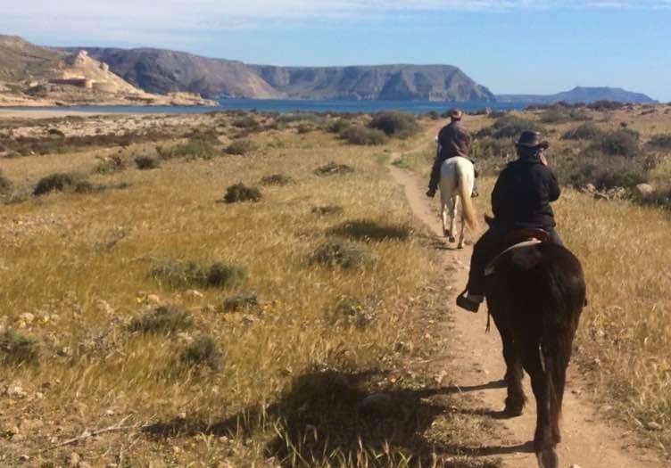 horseback trail ride in Andalusia