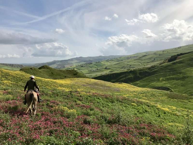 horseback trail ride italy