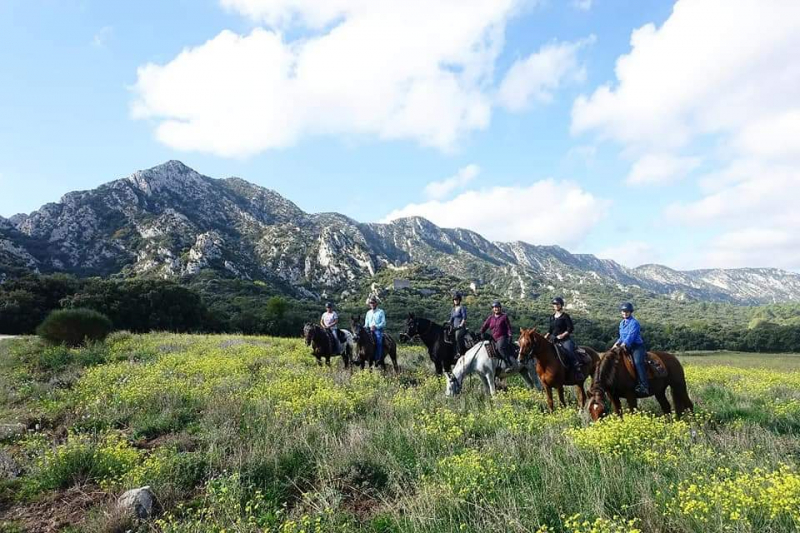 progressive horse riding trip in Provence