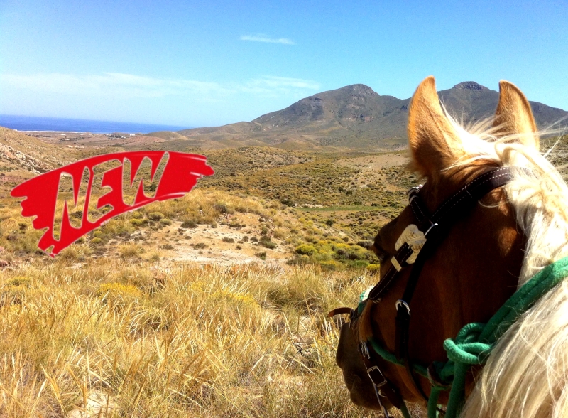 week horse riding in Andalusia