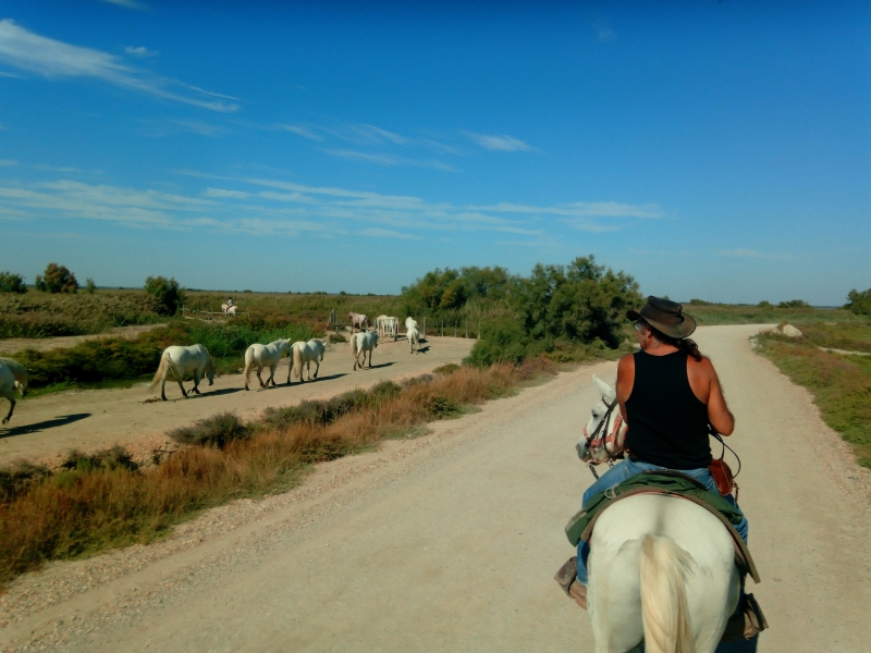 horseback riding trip in provence