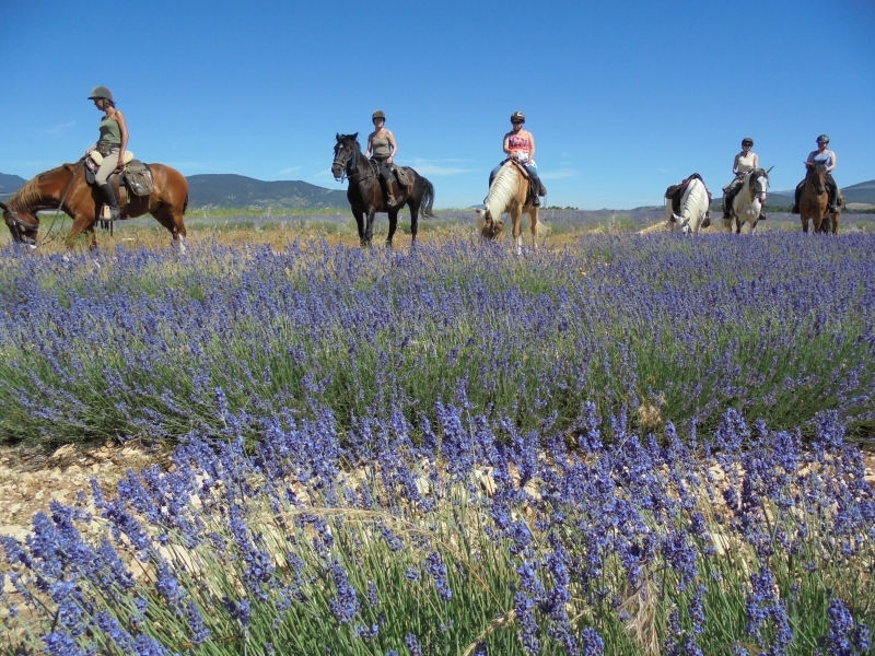 Provence week equestrian trip