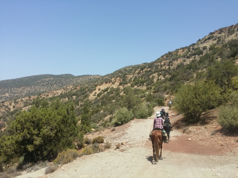 horse riding morocco