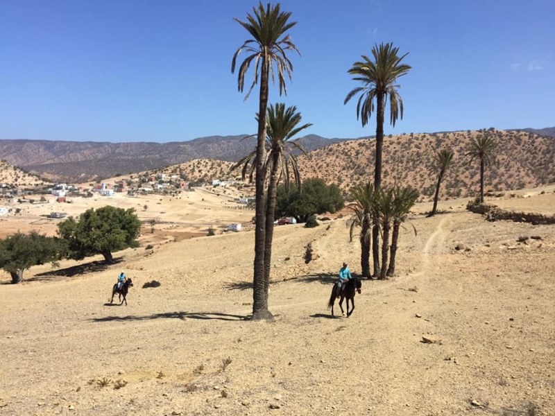 horseback trail ride in morocco