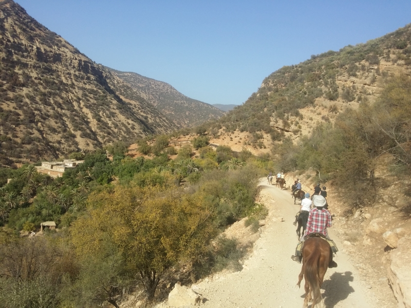 equestrian vacation in morocco