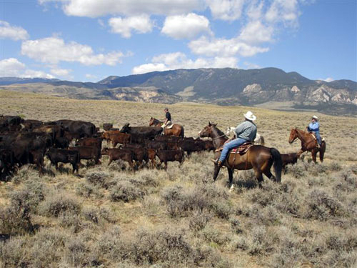 Colorado Usa horse riding