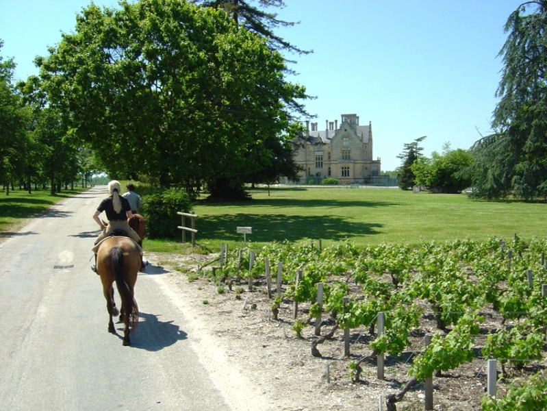 wine of bordeaux horse ride