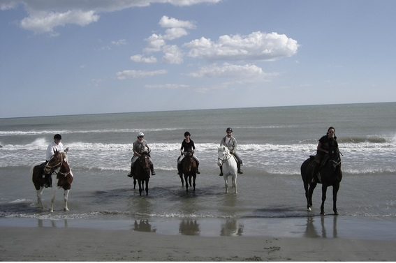 horseback ride in camargue