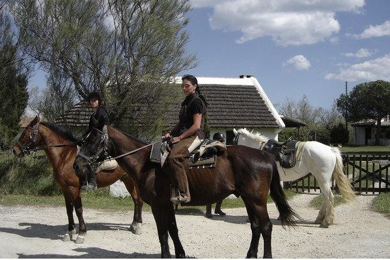 camargue horseback riding