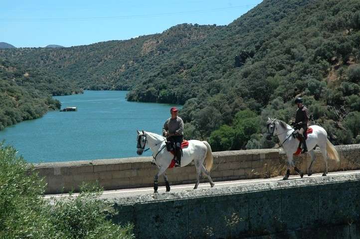 horse riding in spain