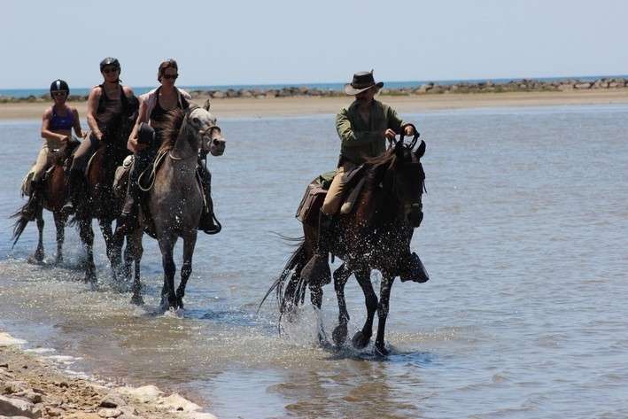 equestrian vacation in Camargue