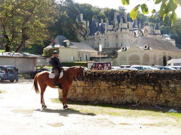 loire valley on horseback