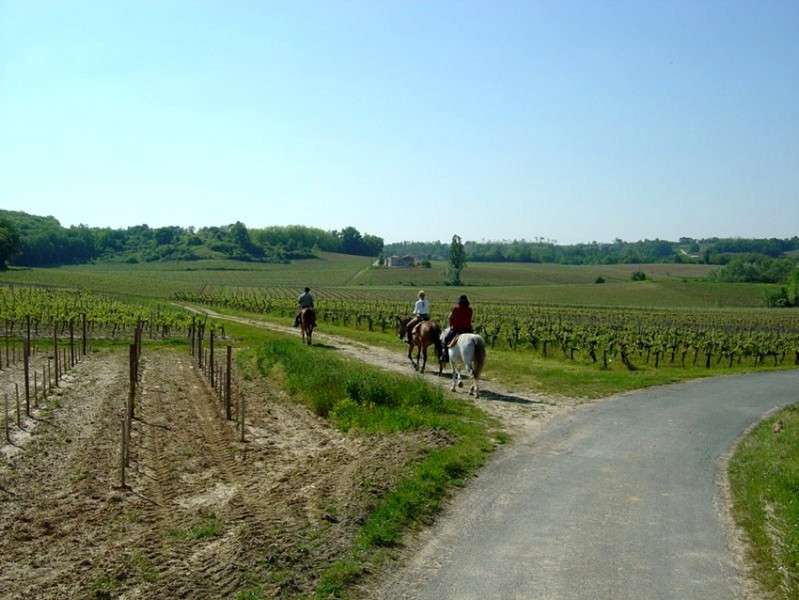 horse riding in bordeaux