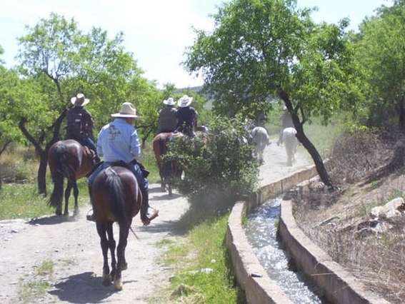 horseback riding holiday in andalusia