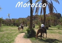 Horse riding in Morocco