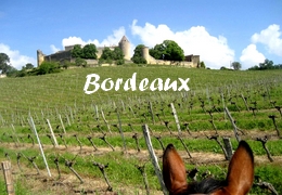 Horse riding holiday in Bordeaux