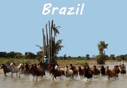 Equestrian holiday in Brazil