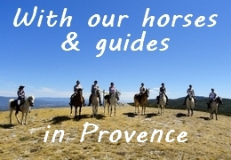 equestrian holiday in Provence