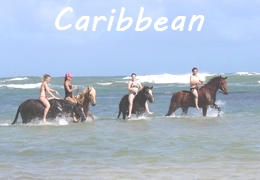 Caribbean horse riding holiday