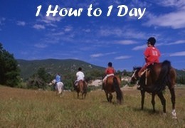 Short rides in Provence - 1 hour to 1 day