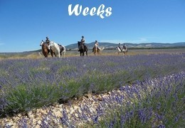 Week rides in Provence