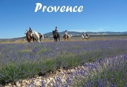 Horseback riding in Provence