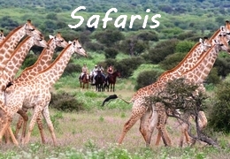 horseback riding safari
