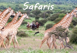 SOUTH AFRICA- BOTSWANA - KENYA Safaris