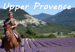 Provence horse riding