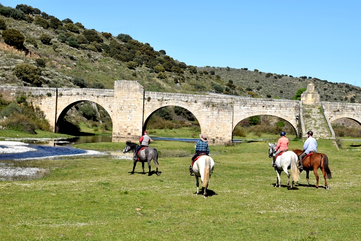 horse riding journey in Spain