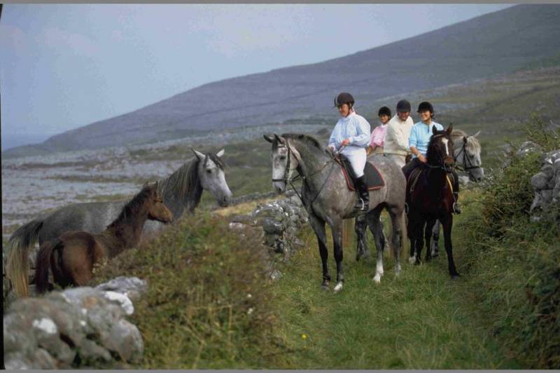 Horse riding in Ireland Cap Rando Horseback riding vacations