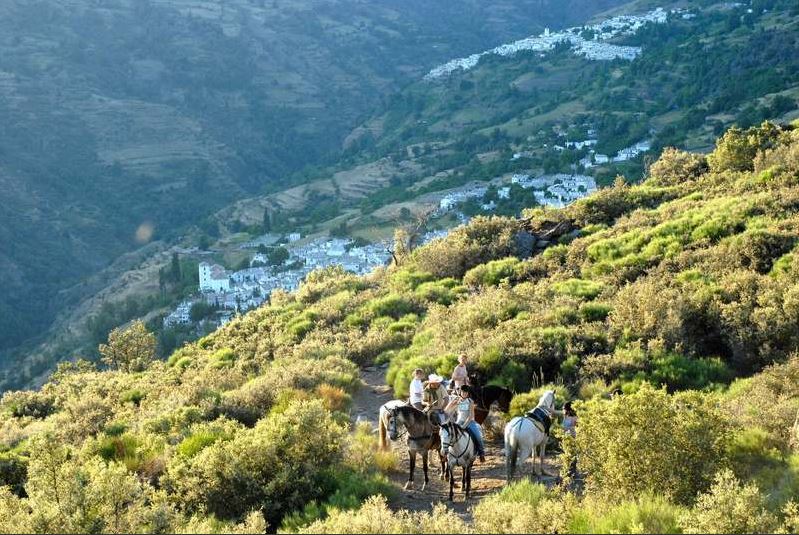 Andalusia horse riding