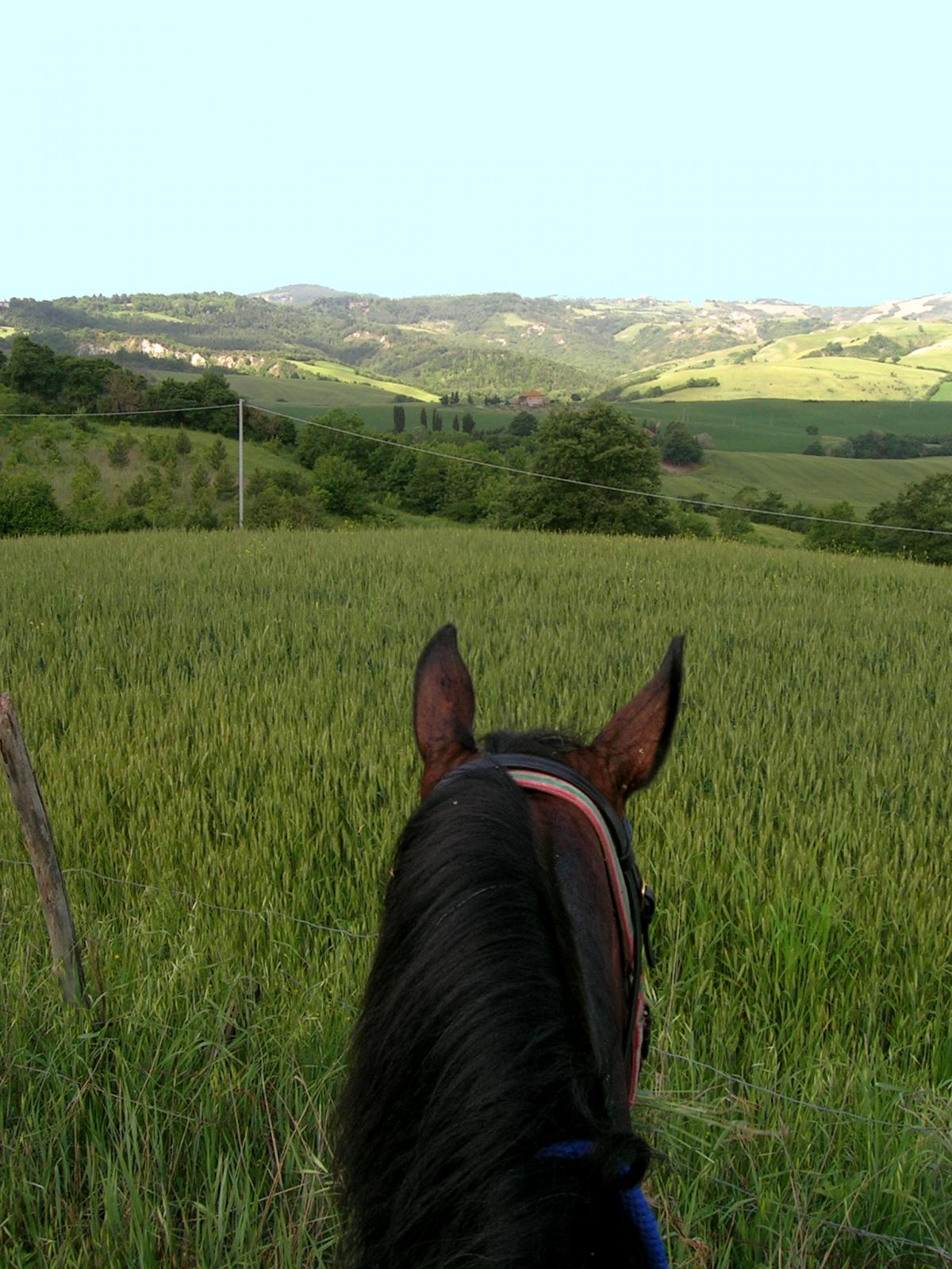 randonnee a cheval en toscane