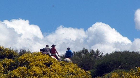 rando a cheval en espagne