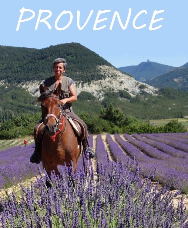 horse riding in Provence