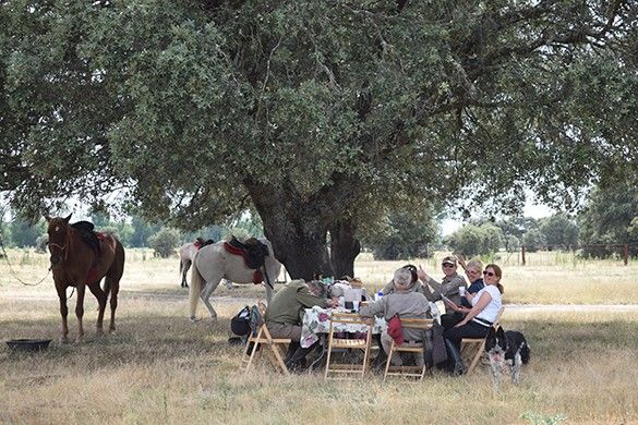 inn to inn horseback riding ride in Spain