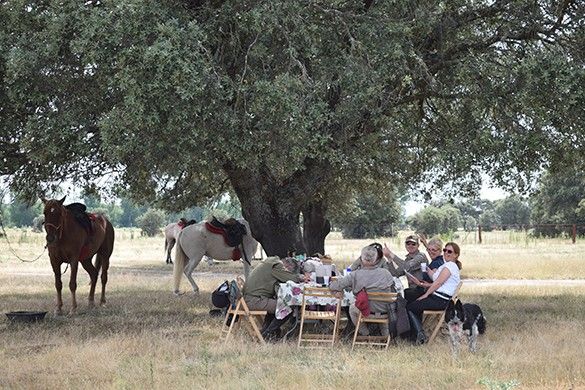 inn to inn horseback riding ride in Spain