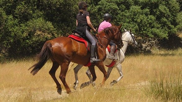 equestrian trail ride in Spain