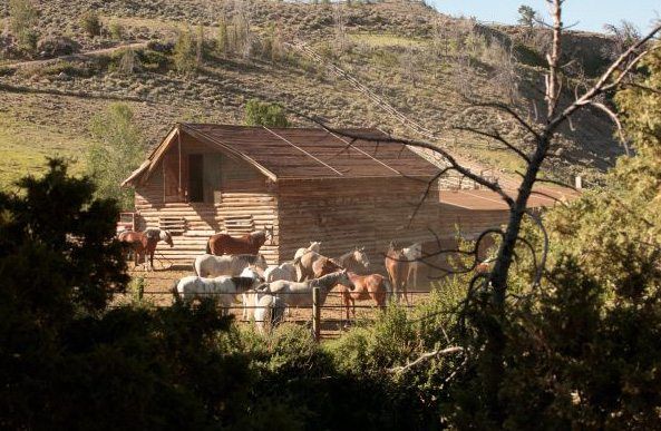 horse riding in a ranch usa