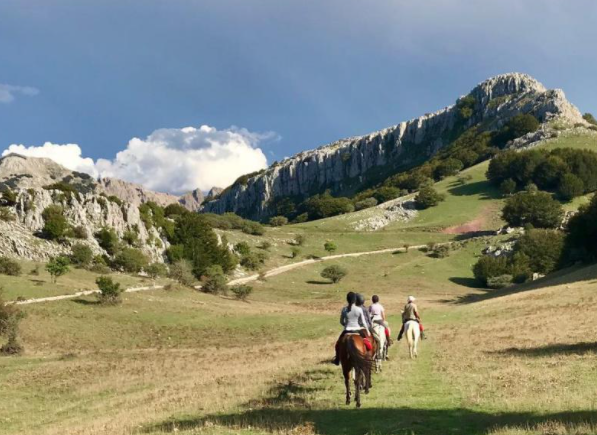 Discover Sicily on horseback