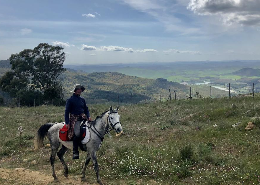 Sicily horse riding